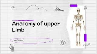 Anatomy of humerus part 1Anatomy of upper limbUpper lim Anatomy Hmerus bone in urdu hindi lecture [upl. by Orhtej270]