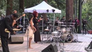 Sheila E Live at Stern Grove Festival [upl. by Hillie]