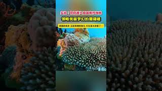 Discovering the underwater paradise of Chinas southernmost island Sansha [upl. by Gievlos]