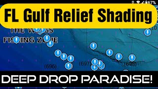 Navionics Relief Shading Explained  Florida Gulf Deep Drop Spots in Depth Analysis [upl. by Tisdale]