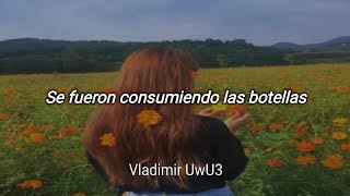 Vicente Fernandez  Mujeres Divina  Letra [upl. by Yrotciv]