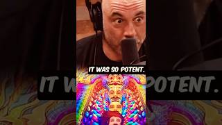 Joe Rogan Crazy DMT Experience jre [upl. by Alexandr]