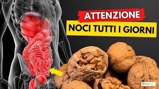 Dibattito chiuso le NOCI sono la miglior frutta secca al mondo [upl. by Notyarb]