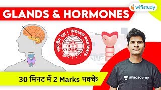 Glands amp Hormones in Human Body  Hormones amp Glands Explained by Neeraj Jangid [upl. by Arakaj125]