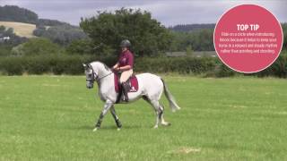 How to introduce your exracehorse to jumping  HorseampRider [upl. by Arateehc]