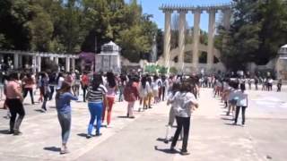 One Direction Distrito Federal FLASHMOB [upl. by Ydnagrub]