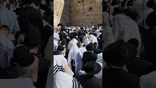 The Priestly Blessing at the Western Wall Plaza Jerusalem Sukkot 2024 israel jerusalem travel [upl. by Oninrutas]