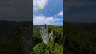 Canopy Ulu Temburong National Park Brunei 브루나이 브루나이여행 인스타360 지금여기 ulutemburongnationalpark [upl. by Leena]