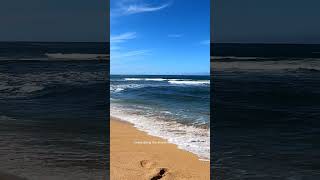 Huge waves at Haleiwa Beach [upl. by Afital839]