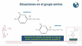 2707 FARMACIA VIII FARMACOQUIMICA I QUIMICA DE FARMACOS AGONISTAS ADRENERGICOS PARTE 1 SEMANA 15 [upl. by Kruter688]