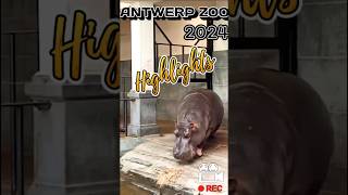 HIGHLIGHTS FROM ANTWERP ZOO  2024 [upl. by Nwahser]