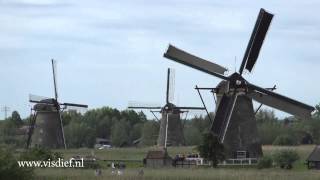 Nederwaart Molen No 2 met draaiende wieken [upl. by Schnell]