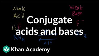 Conjugate acids and bases [upl. by Aibonez]