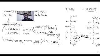 Riassunto carboidrati monosaccaridi e disaccaridi 5Sc [upl. by Berthoud]