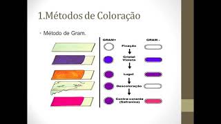 Introdução a Microbiologia ClínicaAULA 01 [upl. by Lopez]