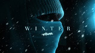 SKANDAL  WINTER official Video [upl. by Kauppi880]