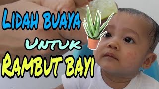 TUTORIAL MENYUBURKANMELEBATKANMENUMBUHKAN RAMBUT BAYI DENGAN LIDAH BUAYA [upl. by Orelie]