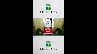 Becks is the seed company that gives you more [upl. by Yelnahs]