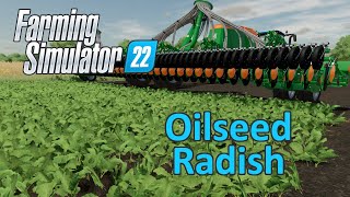 Farming Simulator 22 Tutorial  Oilseed Radish Fertilizer [upl. by Kimble]