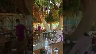 Oludeniz Sea Horse Beach Club Paradise [upl. by Arikat]