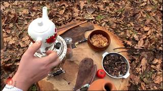 Preparing Organic Samovar Tea in Nature [upl. by Stead577]