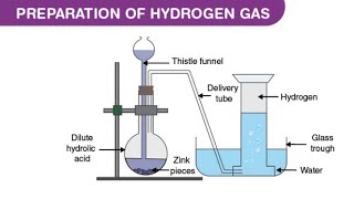 Laboratory Preparation of Hydrogen Gas [upl. by Aivizt195]