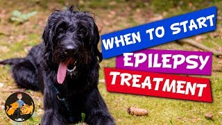 When to Start Epilepsy Treatment for Dogs and why not straight away  Dog Health Vet Advice [upl. by Luis]