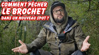 COMMENT DÉBUTER LA PÊCHE DU BROCHET dans un NOUVEAU SPOT [upl. by Delamare]