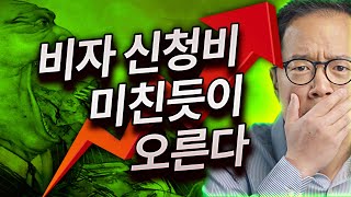 미친듯이 오르는 뉴질랜드 비자 신청비  2배 3배 오른 비자도 있어  2024년 10월 1일부터 적용 [upl. by Tsirhc]