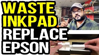 How to Replace Waste Ink Pad in Epson Printer StepbyStep DIY Guide [upl. by Carly]