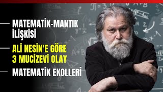 MatematikMantık İlişkisi Ali Nesine Göre 3 Mucizevi Olay Matematik Ekolleri [upl. by Ynwat]