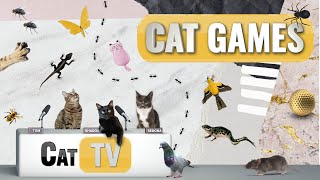 Cat Games  Ultimate Cat TV Compilation Vol 14  2 HOURS 🐱📺🐇🕷️🏀🎣🎈🦜🐜🐭🧵🐝🐞🦋🦎 [upl. by Quintessa]