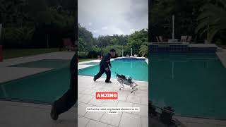 Robot anjing senilai 100000 ishowspeed shorts feedshorts ishospeed robot [upl. by Yentirb]