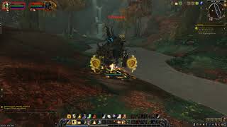 Battle for Azeroth Quest 192 WANTED Rindlewoe WoW human Paladin [upl. by Asilet]