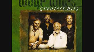 The Wolfe Tones  Greatest Hits  Full Album  Irish Rebel Music [upl. by Tuesday]