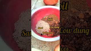 Adenium plant kaise lgayein How to prepare soil plants terracegarden houseplants [upl. by Kcirtapnaes]