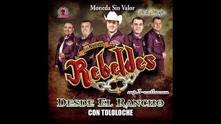 Los Nuevos Rebeldes  Moneda Sin Valor Desde El Rancho Con Tololoche 2013 [upl. by Akirdnahs]