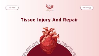 Tissue injury and repair  Pathology [upl. by Mindi]