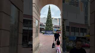 Wonderful Christmas tree  Burwood Sydney  Australia burwood christmastree christmas [upl. by Adhern8]