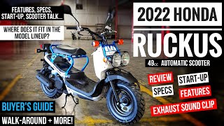 2022 Honda Ruckus 49cc Scooter Review of Specs Changes Features  Walkaround  NPS 50 [upl. by Reggy]