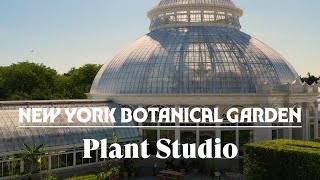 Introducing Plant Studio [upl. by Hsuk381]