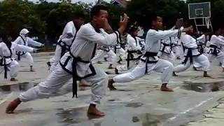 UJIAN KENAIKAN SABUK cabang pemalang  part 5 IKSPI Kera Sakti [upl. by Anwahsal]