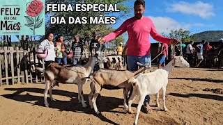 FEIRA ESPECIAL DIA DAS MÃƒES NA VILA JERIMUM TNPE 12052024 CABRAS E CARNEIROS [upl. by Nanon322]