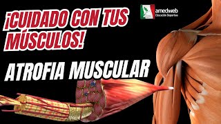 Comprendiendo la Atrofia Muscular úsalo o piérdelo [upl. by Fransis61]