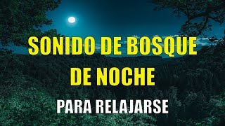 1 HORA SONIDOS del BOSQUE NOCTURNO CORTOS para DORMIR o RELAJARSE 😴🦉🌕 [upl. by Butler]