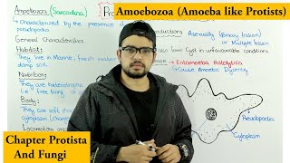 Animal like protists  Amoebozoa Sarcodina Chapter Protista [upl. by Reed938]