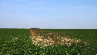 Biodiversité en Champagne crayeuse [upl. by Orihakat363]