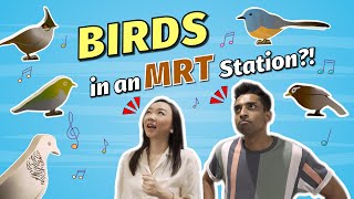 Birds In An MRT Station [upl. by Ekralc]