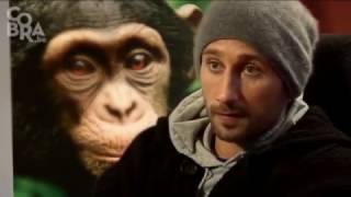 Matthias Schoenaerts narrating the Flemish version of Chimpanzee Disneynatures documentary [upl. by Akimit]