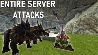 Defending Highlands Cave Against The Cluster Alphas Ark PvP [upl. by Martynne809]